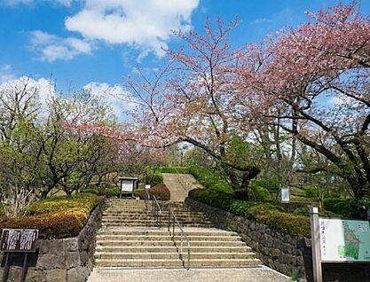 羽根木公園 約920ｍ(徒歩約12分)