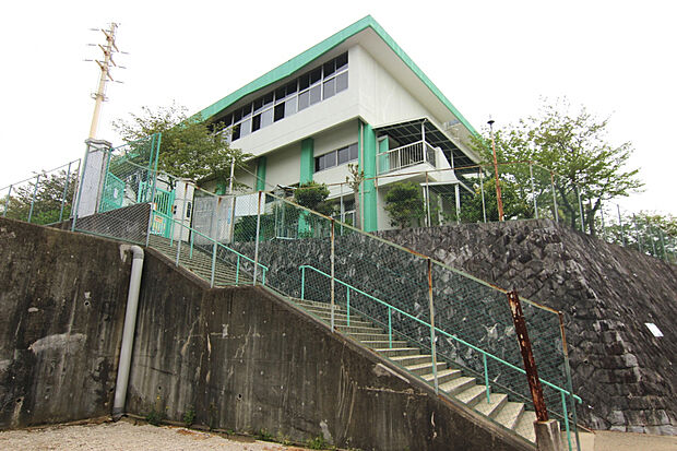 ☆神戸市立甲緑小学校☆（約244m）