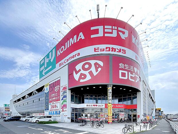 ロピア柏コジマ店(約960m)