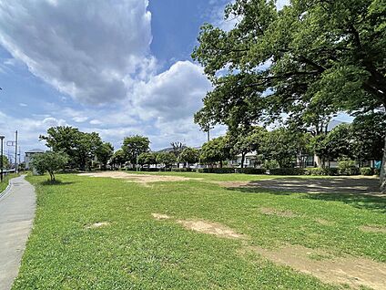 あかしあ公園 110m