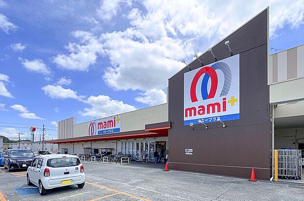 マミープラス 柏根戸店(約510m)