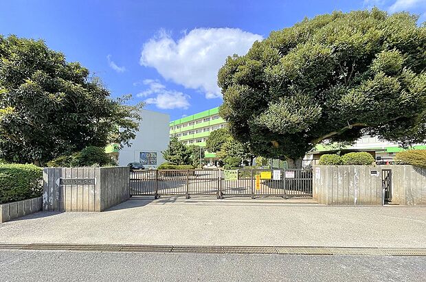 坪井小学校（約310m）