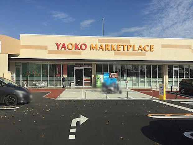 ヤオコー 松戸上本郷店（約800m）