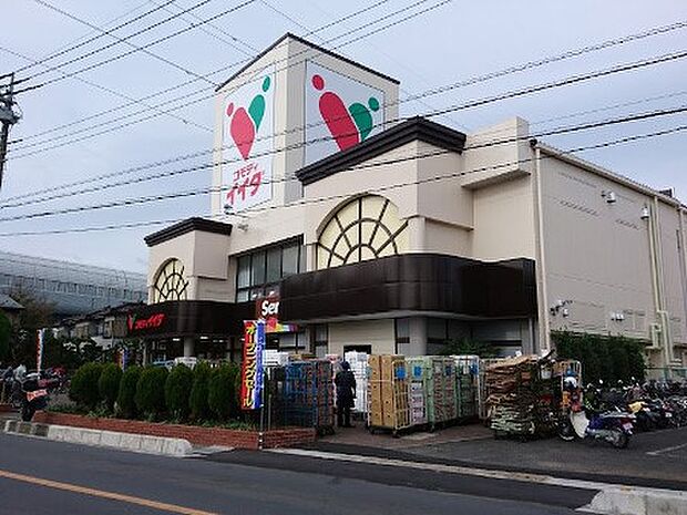 コモディイイダ 三郷店(約500m)