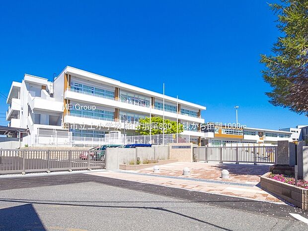 柏市立土小学校（約1,000m）