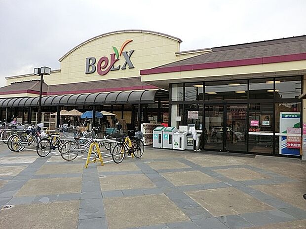 ベルクス 北松戸店（約1,000m・徒歩13分）