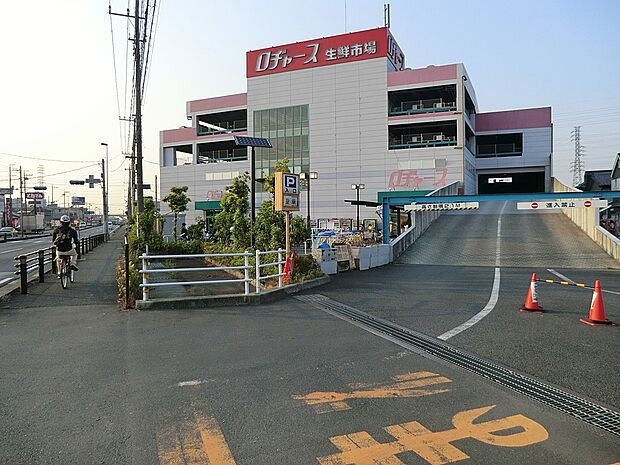 ロヂャース越谷店（約1,500m）