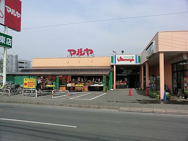 マルヤ久喜東店（約500m・徒歩7分）