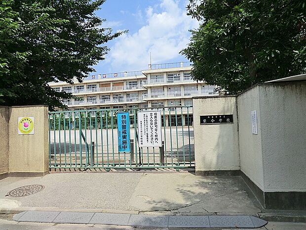 西東京市立栄小学校(約1,150m)