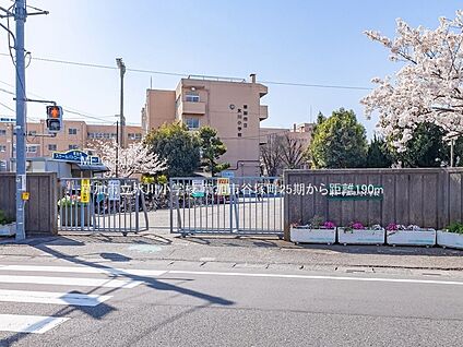 草加市立氷川小学校 190m