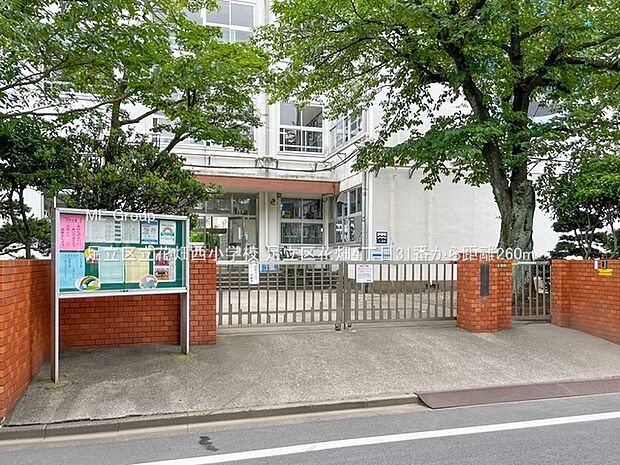 足立区立花畑西小学校(約260m・徒歩4分)