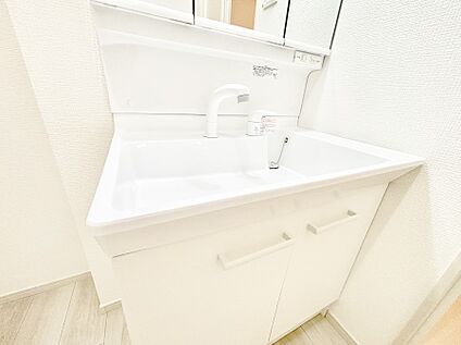 その他設備(ハンドシャワー水栓)