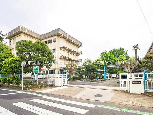 柏市立酒井根小学校（約510m）