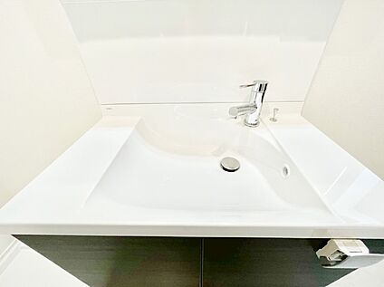 その他設備(シャワー水栓洗面化粧台)