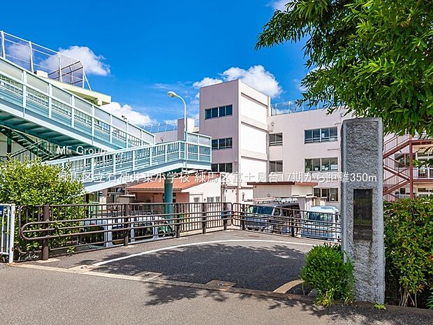 練馬区立石神井東小学校(約350m)
