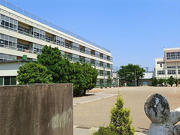川口市立芝中央小学校（約210m）