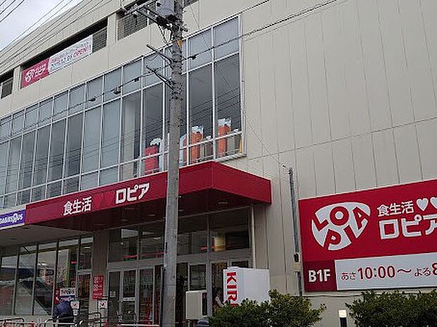 ロピア 草加セーモンプラザ店（約800m・徒歩10分）