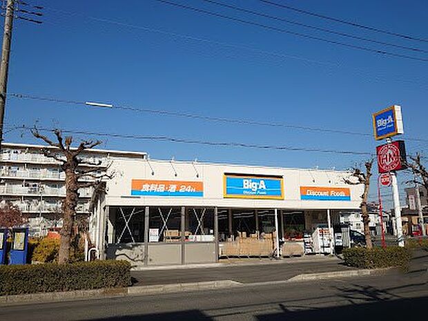 ビッグ・エー越谷千間台西店(約600m)