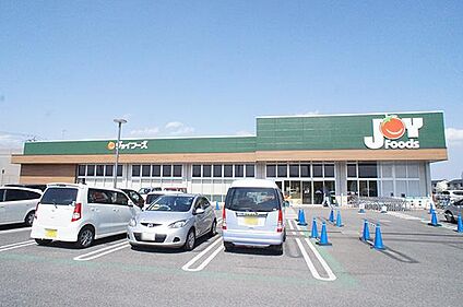 ジョイフーズ 関宿次木店 1000m(13分)