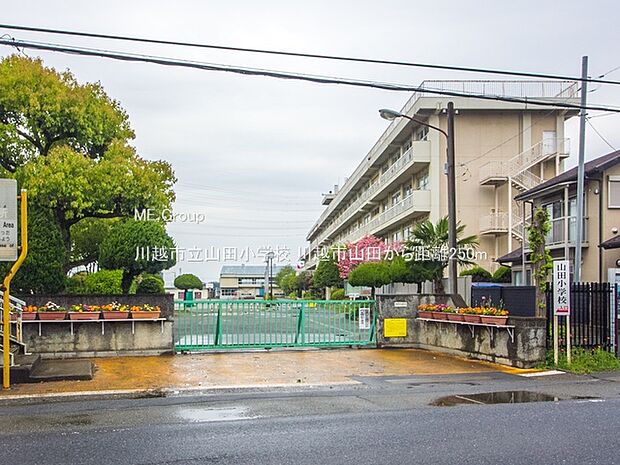 川越市立山田小学校（約250m）