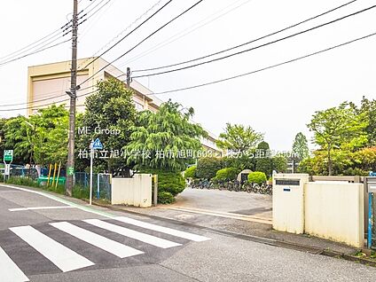 柏市立旭小学校 350m