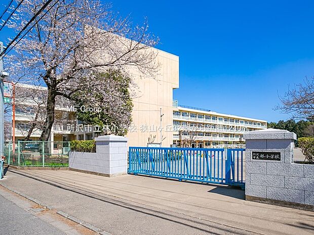 所沢市立林小学校（約1,240m・徒歩16分）