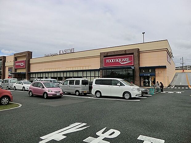 カスミフードスクエア南越谷店（約600m・徒歩8分）