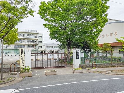 八潮市立松之木小学校 420m(6分)