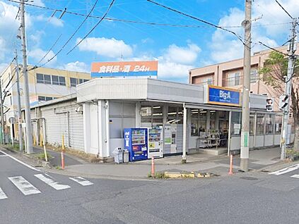 ビッグ・エー八潮中央店 700m(9分)