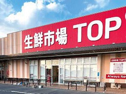 生鮮市場TOP 八潮伊草店 300m(4分)
