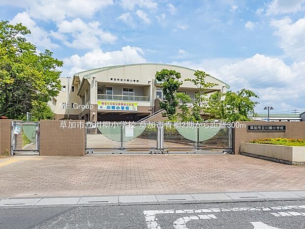 草加市立川柳小学校（約300m）