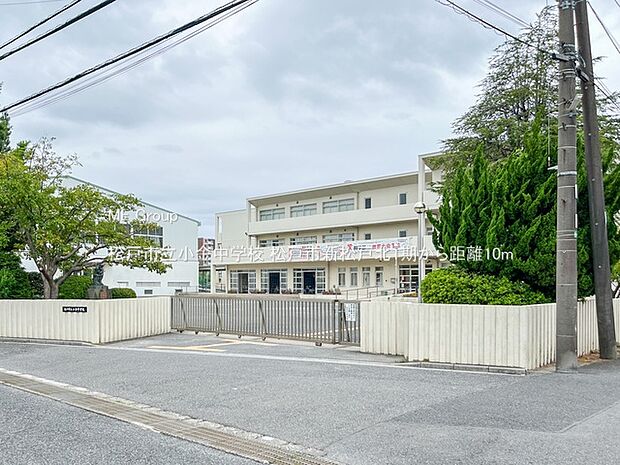 松戸市立小金中学校（約10m）