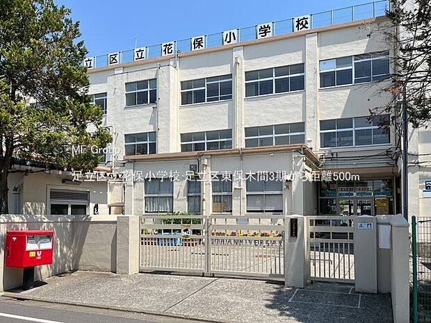 足立区立花保小学校（約500m）