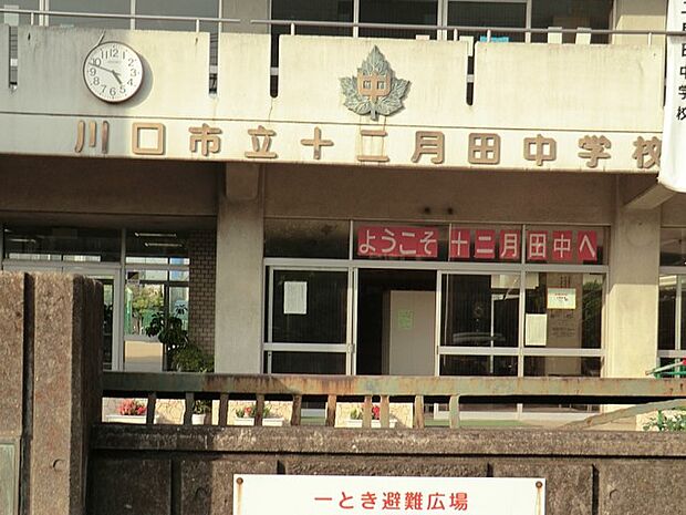 川口市立十二月田中学校(約850m・徒歩11分)