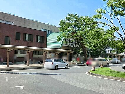 東武伊勢崎線草加駅 1000m(13分)
