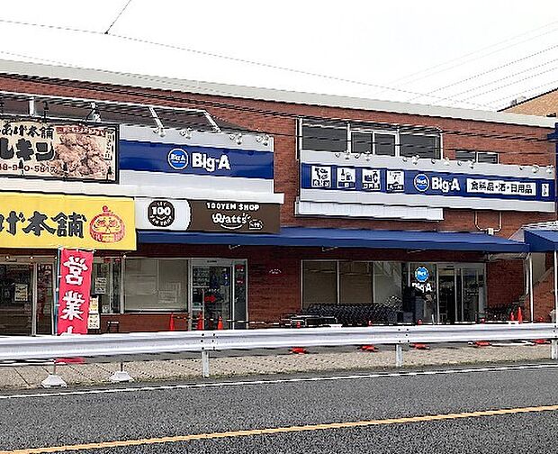 ビッグ・エー 赤山町三丁目店（約500m）