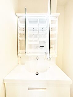 その他設備(三面鏡裏収納)