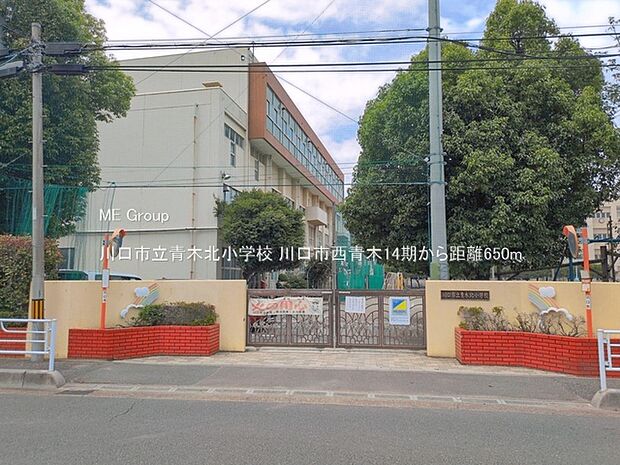 川口市立青木北小学校(約650m)