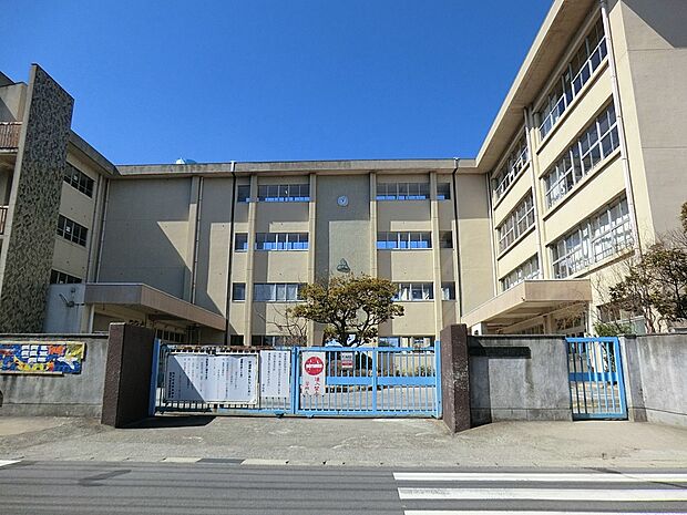 松戸市立古ケ崎小学校(約1,100m)