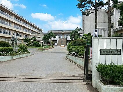 春日部市立緑小学校 900m(12分)