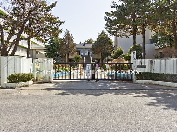 春日部市立緑小学校（約900m・徒歩12分）