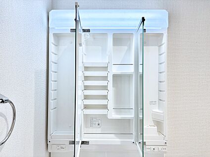 その他設備(三面鏡裏収納)