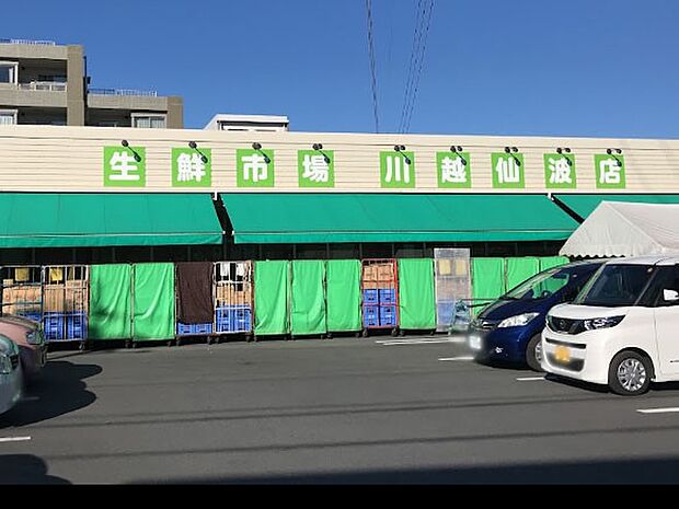 生鮮市場 田中青果 川越仙波店(約300m)