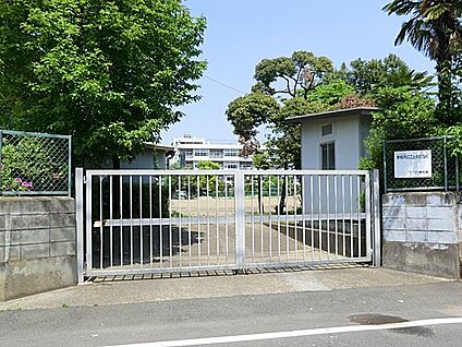 川口市立岸川中学校 520m(7分)