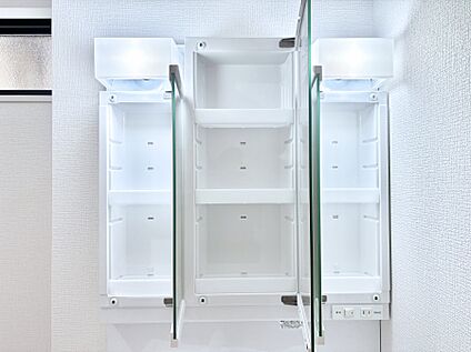 その他設備(三面鏡裏収納)