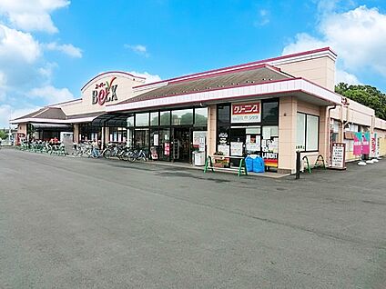 ベルクス岩槻城北店 1000m
