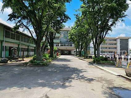 蕨市立中央小学校 290m(4分)