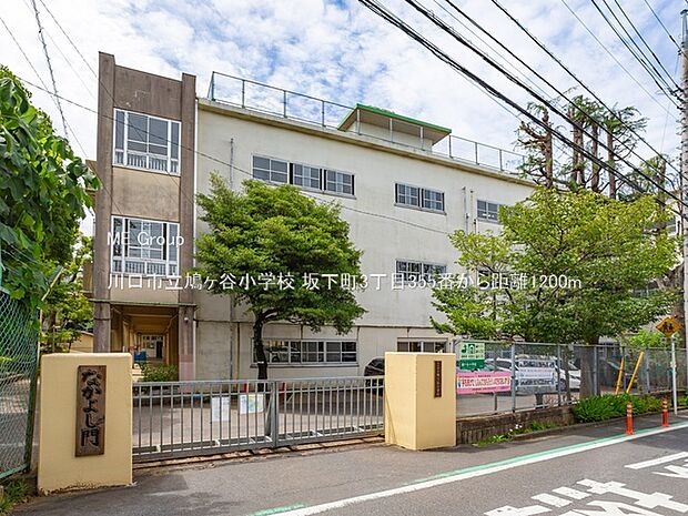 川口市立鳩ヶ谷小学校(約1,200m・徒歩15分)