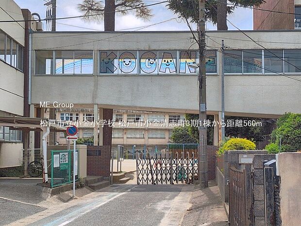 松戸市立小金小学校(約560m)