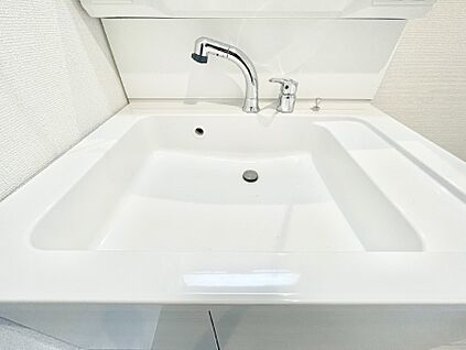 その他設備(ハンドシャワー水栓)